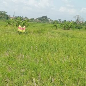 tanah komersil